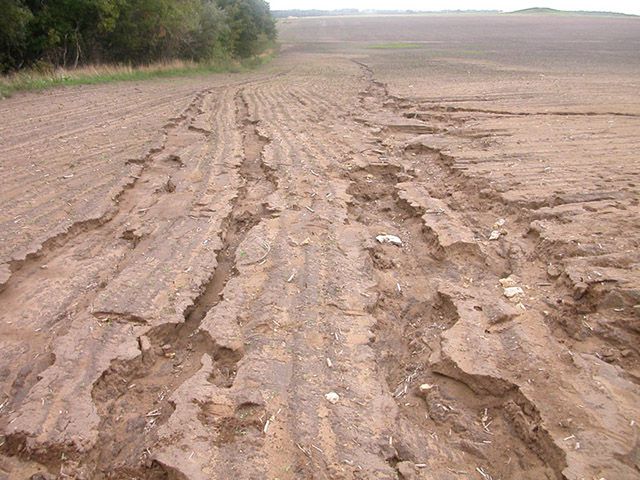 Водная эрозия плодородной почвы при отсутствии дренажа - серьезная проблема в сельском хозяйстве