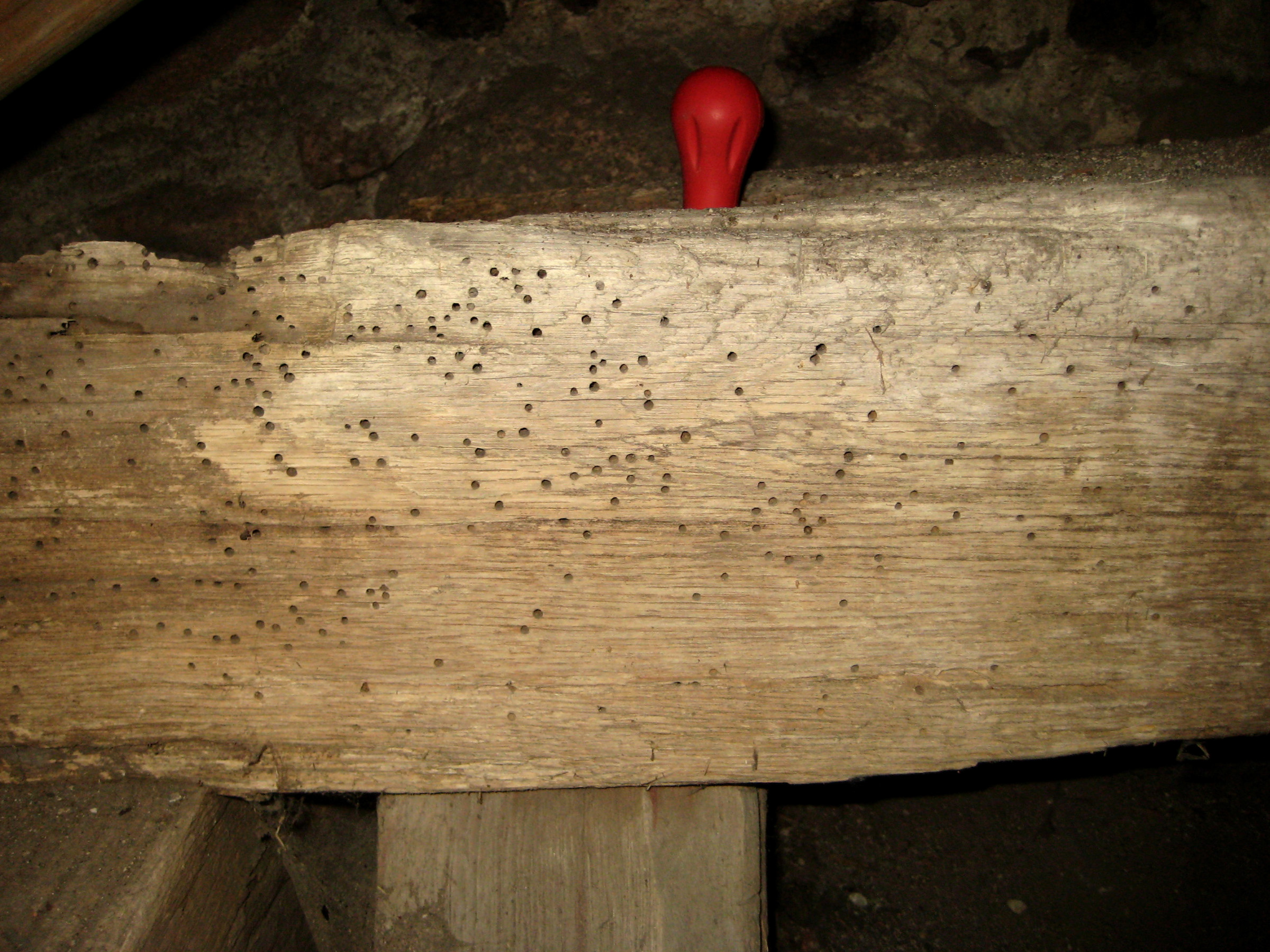 Этапы подготовки древесины перед использованием