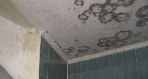 Причина появления грибка и плесени в ванной - плохая вентиляция