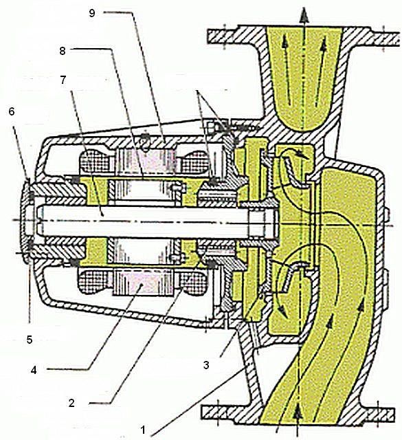 Схема устройства насоса с "мокрым" ротором