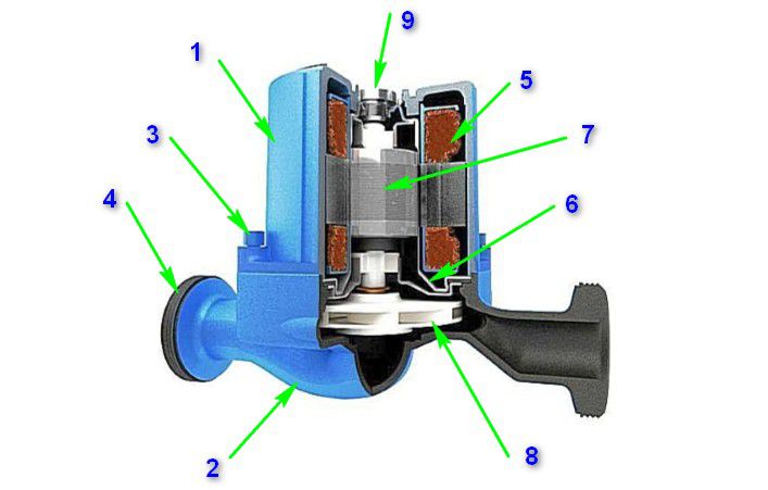 Принципиальная схема устройства циркуляционного насоса с «мокрым ротором»